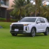 Da Nang To My Son Sanctuary By Private Car Transfer - Student Exchange