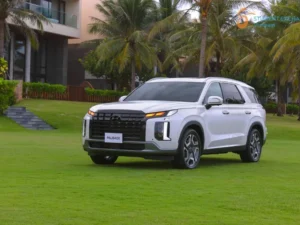 Da Nang To My Son Sanctuary By Private Car Transfer - Student Exchange