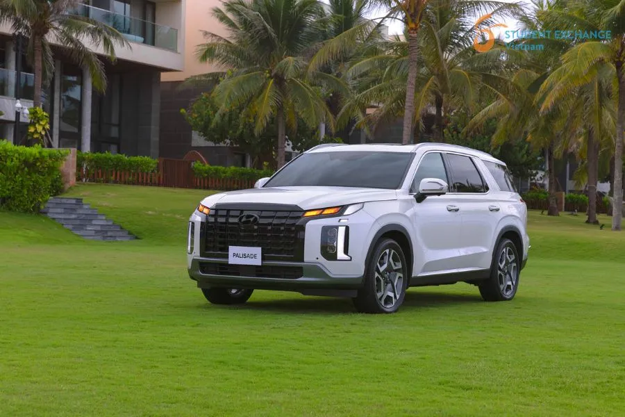 Da Nang To My Son Sanctuary By Private Car Transfer - Student Exchange