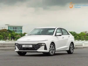 Da Nang To My Son Sanctuary By Private Car Transfer - Student Exchange