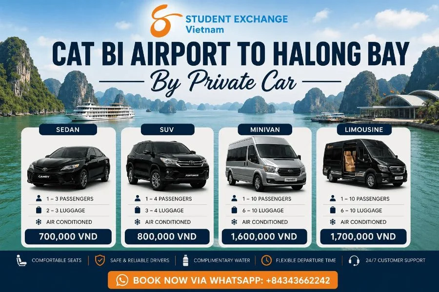Cat Bi Airport to Halong Private Car - Student Exchange Vietnam