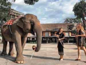 Ho Chi Minh to Buon Ma Thuot by private car- Vietnam Student Exchange Travel