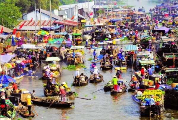 Ho Chi Minh to Cai Be by private car- Vietnam Student Exchange Travel