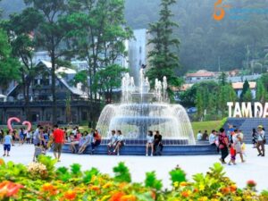 Hanoi to Tam Dao By Private Car - Student Exchange