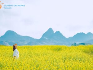 Sapa To Moc Chau By Car - Student Exchange