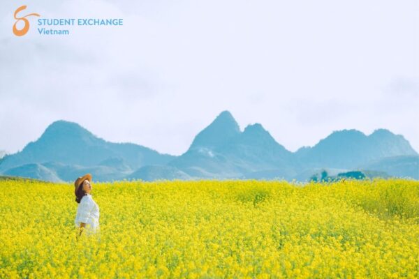 Sapa To Moc Chau By Car - Student Exchange