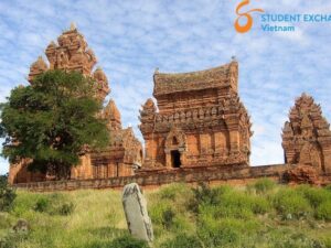 Dalat to Phan Rang Private Car - Student Exchange