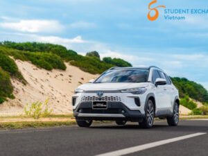 Dalat to Phan Rang Private Car - Student Exchange