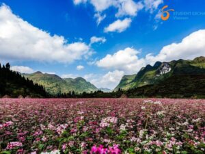 Private Car From Cao Bang To Ha Giang - Student Exchange