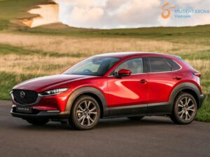 Ha Giang To Sapa Private Car - Student Exchange