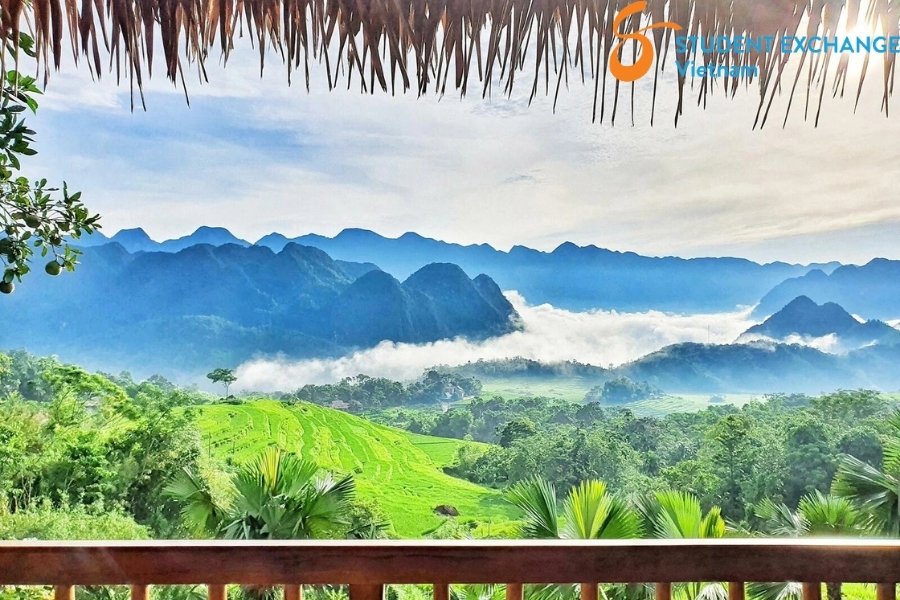 Ninh Binh To Pu Luong Private Car - Student Exchange