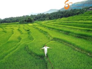 Ninh Binh To Pu Luong By Car - Student Exchange