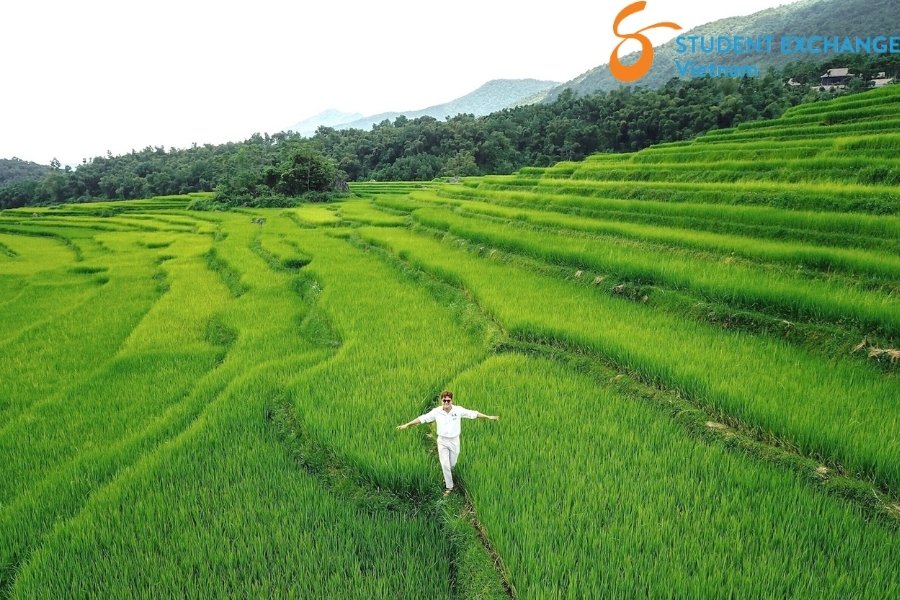 Ninh Binh To Pu Luong By Car - Student Exchange