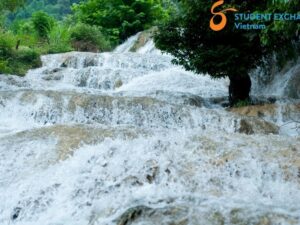 Ninh Binh To Pu Luong By Car - Student Exchange