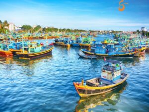 Nha Trang To Phan Thiet By Private Car - Student Exchange