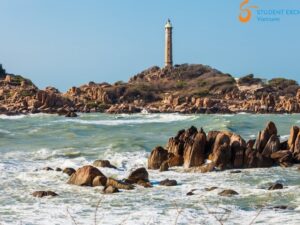 Quy Nhon To Mui Ne By Private Car - Student Exchange