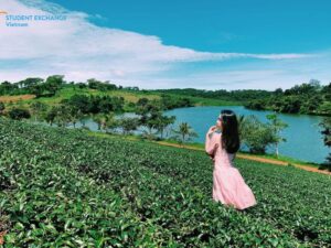 Dalat to Bao Loc private car - Student Exchange