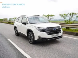 Nha Trang To Ho Chi Minh By Private Car - Student Exchange