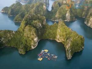 Ha Giang To Halong Bay Private Car - Student Exchange