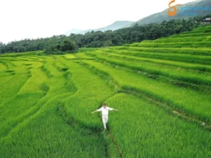 Halong Bay To Pu Luong By Car - Student Exchange