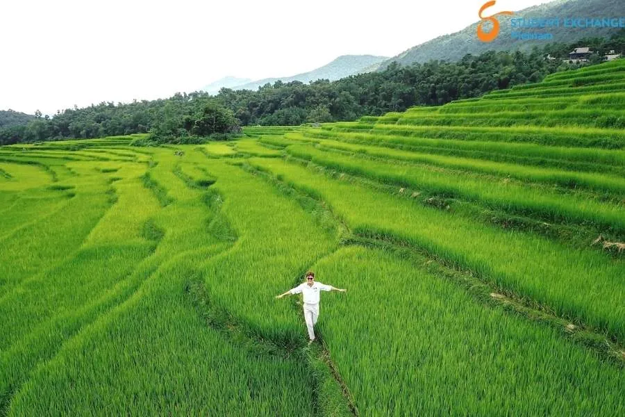 Halong Bay To Pu Luong By Car - Student Exchange