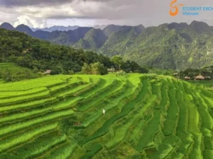 Halong Bay To Pu Luong By Private Car - Student Exchange