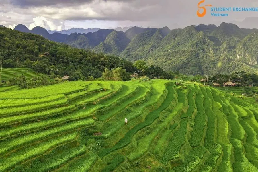 Halong Bay To Pu Luong By Private Car - Student Exchange