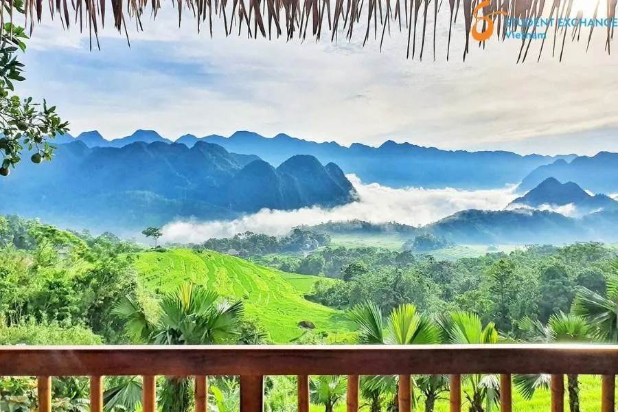 Halong Bay To Pu Luong By Private Car - Student Exchange