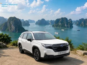 Halong Bay to Mu Cang Chai private car - Student Exchange