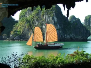 Halong Bay to Mu Cang Chai private car - Student Exchange