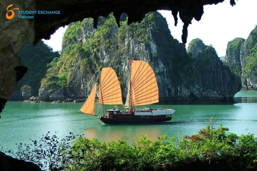 Halong Bay to Mu Cang Chai private car - Student Exchange