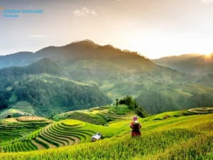 Halong Bay to Mu Cang Chai private car - Student Exchange