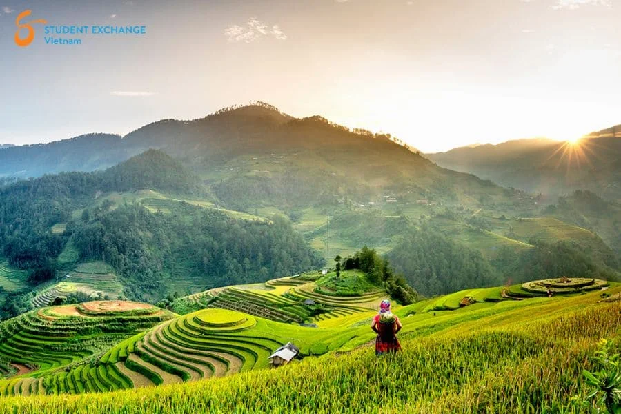 Halong Bay to Mu Cang Chai private car - Student Exchange