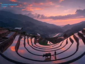 Halong Bay to Mu Cang Chai private car - Student Exchange
