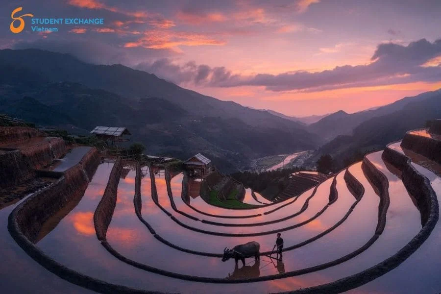 Halong Bay to Mu Cang Chai private car - Student Exchange