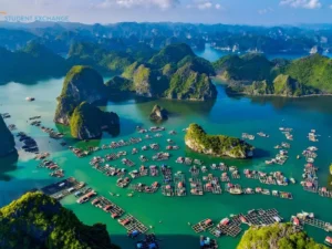 Cat Ba Island To Halong Bay Private Car Rental - Student Exchange