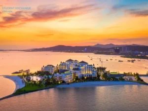 Cat Ba Island To Halong Bay Private Car Rental - Student Exchange