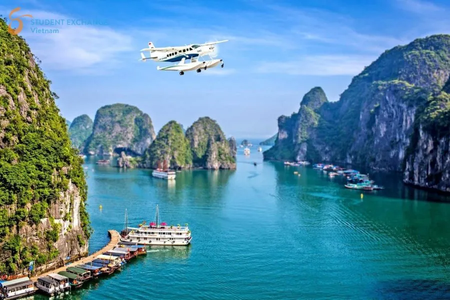 Cat Ba Island To Halong Bay Private Car Transfer - Student Exchange