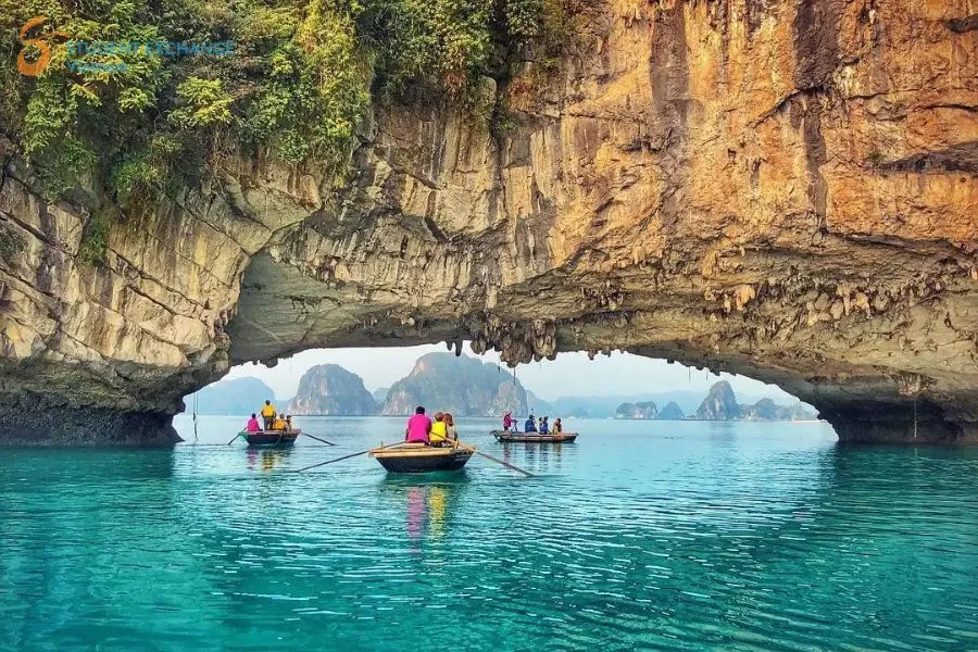 Cat Ba Island To Halong Bay Private Car Transfer - Student Exchange