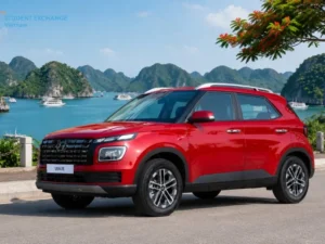 Cat Ba Island To Halong Bay By Private Car - Student Exchange