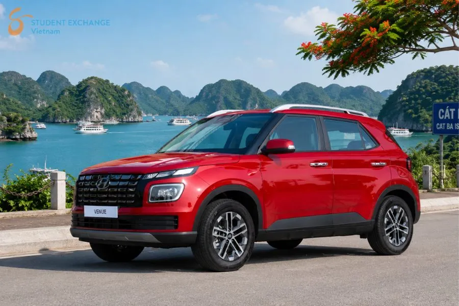 Cat Ba Island To Halong Bay By Private Car - Student Exchange