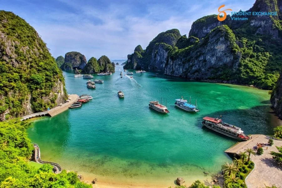 Halong Bay to Ta Xua private car - Student Exchange Vietnam